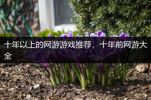 十年以上的网游游戏推荐，十年前网游大全