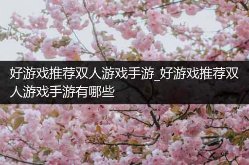 好游戏推荐双人游戏手游_好游戏推荐双人游戏手游有哪些