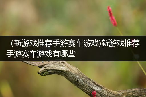 （新游戏推荐手游赛车游戏)新游戏推荐手游赛车游戏有哪些