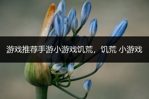 游戏推荐手游小游戏饥荒，饥荒 小游戏
