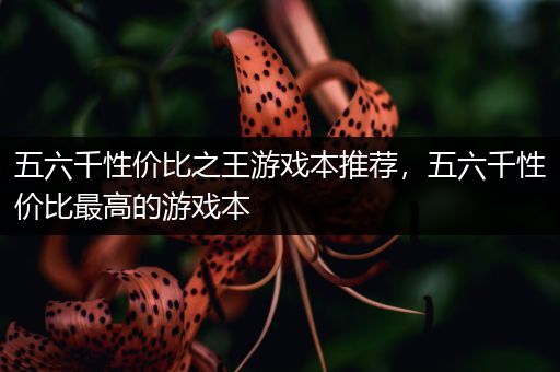 五六千性价比之王游戏本推荐，五六千性价比最高的游戏本