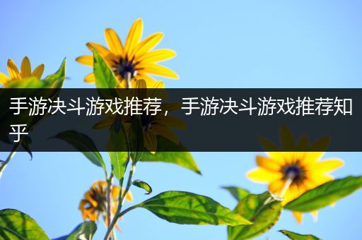手游决斗游戏推荐，手游决斗游戏推荐知乎