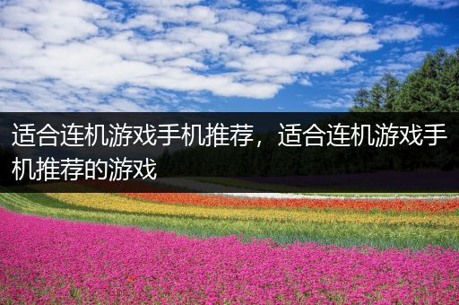 适合连机游戏手机推荐，适合连机游戏手机推荐的游戏