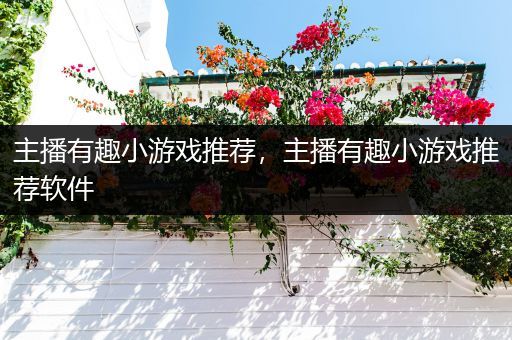 主播有趣小游戏推荐，主播有趣小游戏推荐软件