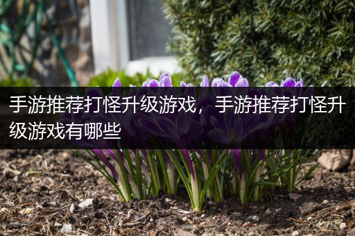 手游推荐打怪升级游戏，手游推荐打怪升级游戏有哪些