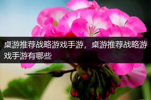 桌游推荐战略游戏手游，桌游推荐战略游戏手游有哪些