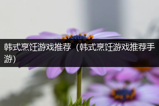 韩式烹饪游戏推荐（韩式烹饪游戏推荐手游）