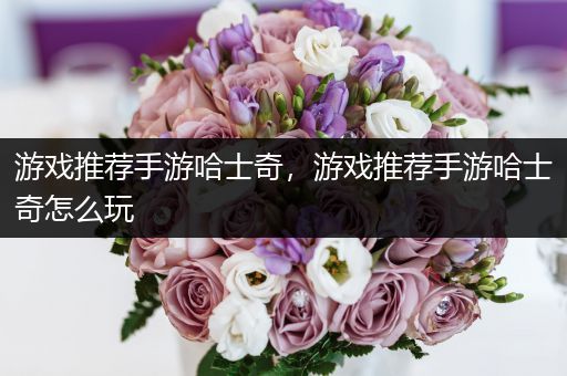游戏推荐手游哈士奇，游戏推荐手游哈士奇怎么玩