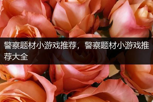 警察题材小游戏推荐，警察题材小游戏推荐大全