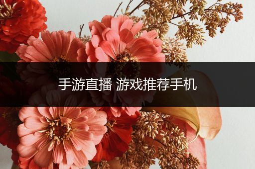手游直播 游戏推荐手机