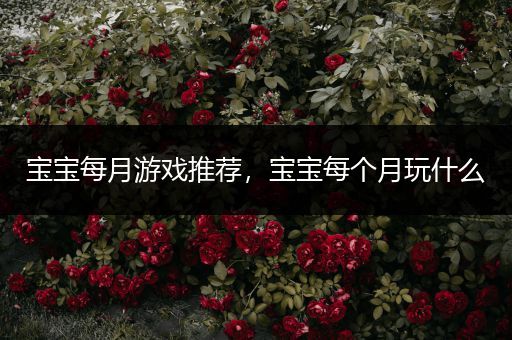 宝宝每月游戏推荐，宝宝每个月玩什么