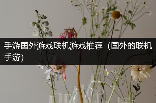 手游国外游戏联机游戏推荐（国外的联机手游）