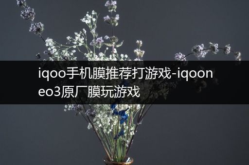 iqoo手机膜推荐打游戏-iqooneo3原厂膜玩游戏