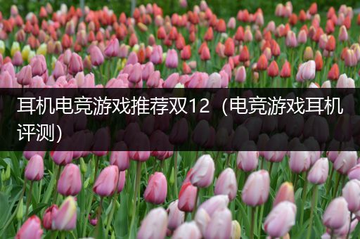 耳机电竞游戏推荐双12（电竞游戏耳机评测）