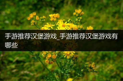 手游推荐汉堡游戏_手游推荐汉堡游戏有哪些