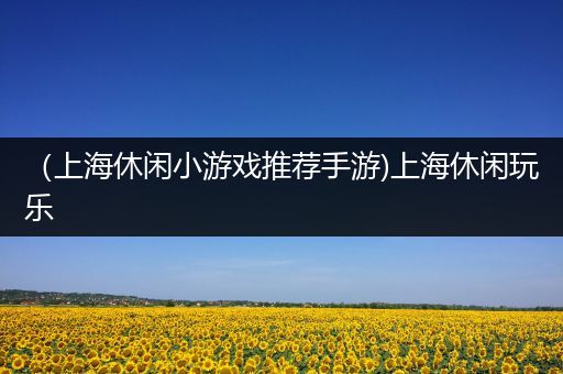 （上海休闲小游戏推荐手游)上海休闲玩乐