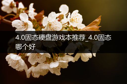 4.0固态硬盘游戏本推荐_4.0固态哪个好