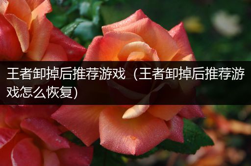 王者卸掉后推荐游戏（王者卸掉后推荐游戏怎么恢复）