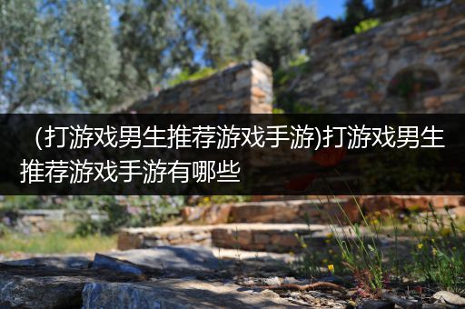 （打游戏男生推荐游戏手游)打游戏男生推荐游戏手游有哪些