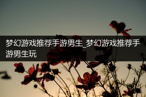 梦幻游戏推荐手游男生_梦幻游戏推荐手游男生玩