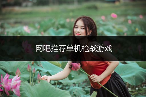 网吧推荐单机枪战游戏