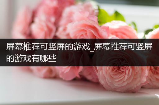 屏幕推荐可竖屏的游戏_屏幕推荐可竖屏的游戏有哪些