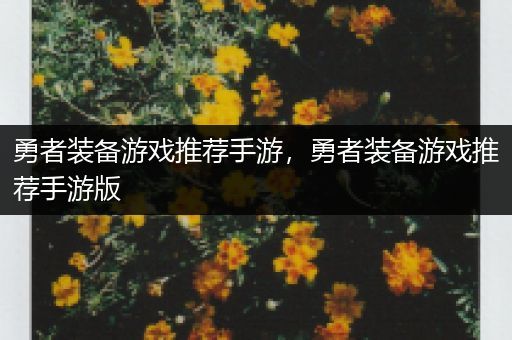 勇者装备游戏推荐手游，勇者装备游戏推荐手游版