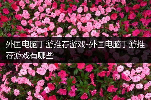 外国电脑手游推荐游戏-外国电脑手游推荐游戏有哪些