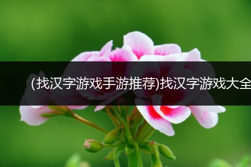 （找汉字游戏手游推荐)找汉字游戏大全