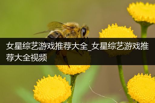 女星综艺游戏推荐大全_女星综艺游戏推荐大全视频