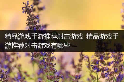 精品游戏手游推荐射击游戏_精品游戏手游推荐射击游戏有哪些