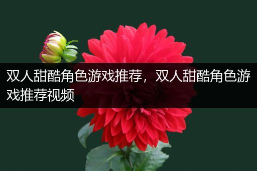 双人甜酷角色游戏推荐，双人甜酷角色游戏推荐视频