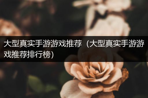 大型真实手游游戏推荐（大型真实手游游戏推荐排行榜）