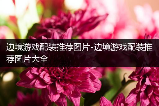 边境游戏配装推荐图片-边境游戏配装推荐图片大全