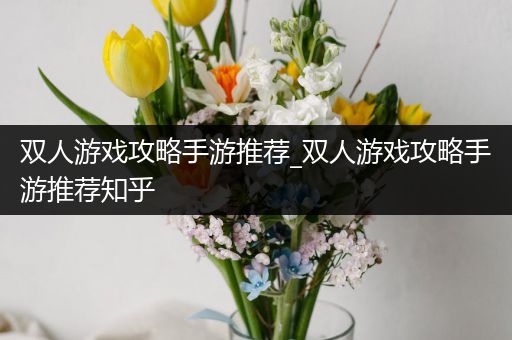 双人游戏攻略手游推荐_双人游戏攻略手游推荐知乎