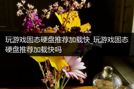 玩游戏固态硬盘推荐加载快_玩游戏固态硬盘推荐加载快吗