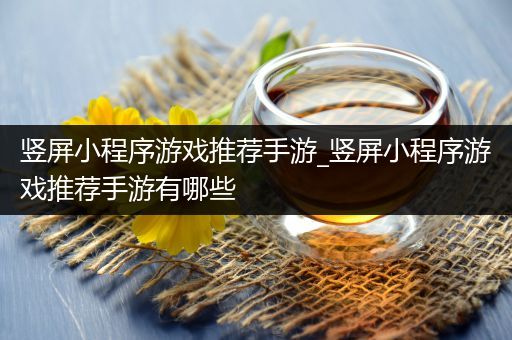 竖屏小程序游戏推荐手游_竖屏小程序游戏推荐手游有哪些