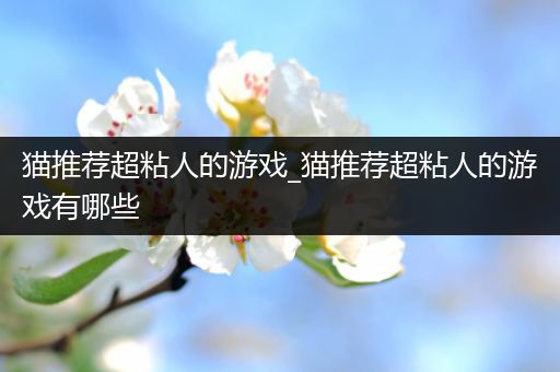 猫推荐超粘人的游戏_猫推荐超粘人的游戏有哪些