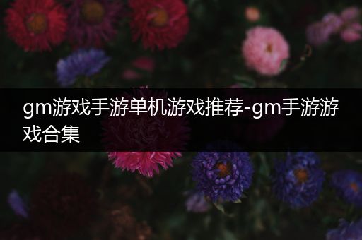gm游戏手游单机游戏推荐-gm手游游戏合集