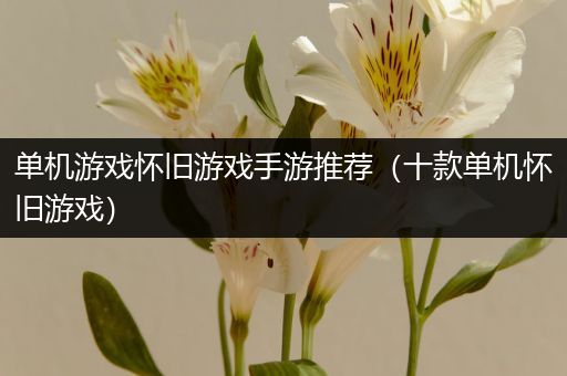 单机游戏怀旧游戏手游推荐（十款单机怀旧游戏）