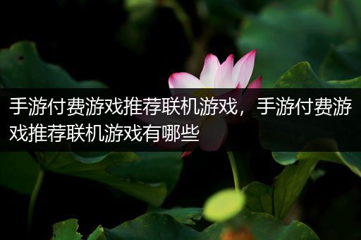 手游付费游戏推荐联机游戏，手游付费游戏推荐联机游戏有哪些