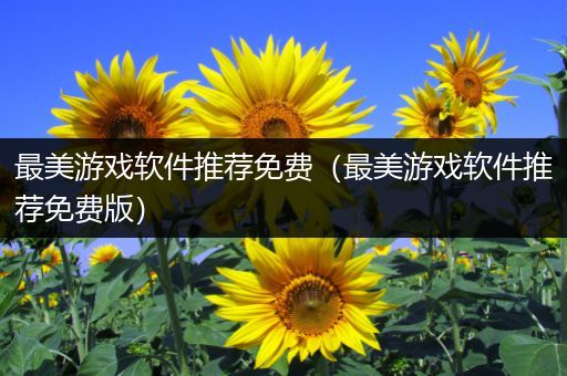 最美游戏软件推荐免费（最美游戏软件推荐免费版）