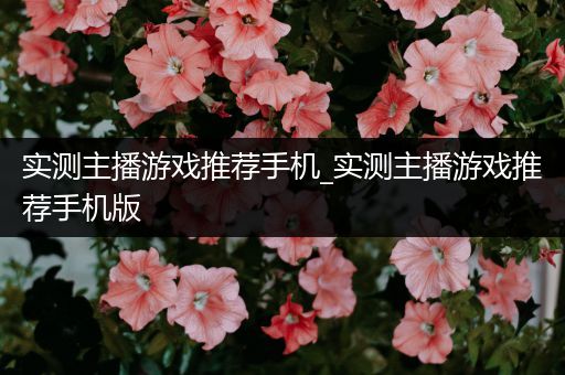 实测主播游戏推荐手机_实测主播游戏推荐手机版