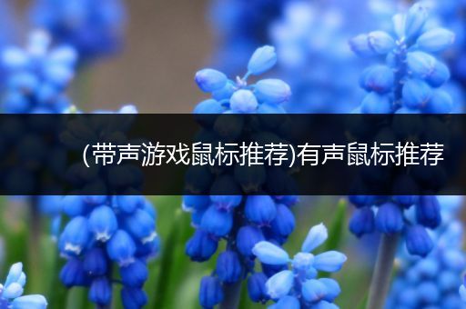 （带声游戏鼠标推荐)有声鼠标推荐