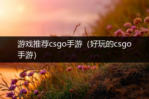 游戏推荐csgo手游（好玩的csgo手游）