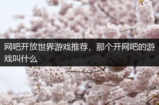 网吧开放世界游戏推荐，那个开网吧的游戏叫什么