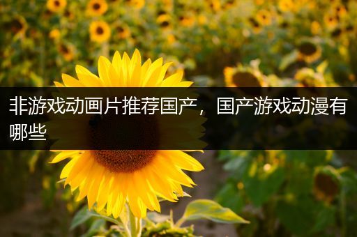 非游戏动画片推荐国产，国产游戏动漫有哪些