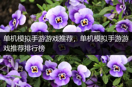 单机模拟手游游戏推荐，单机模拟手游游戏推荐排行榜