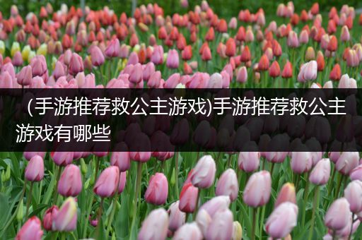 （手游推荐救公主游戏)手游推荐救公主游戏有哪些