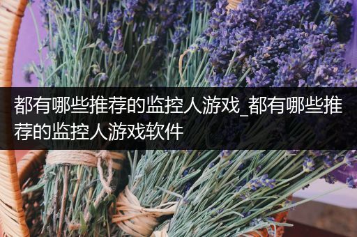 都有哪些推荐的监控人游戏_都有哪些推荐的监控人游戏软件